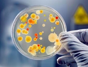 Bakterije lahko povzročijo kronični prostatitis