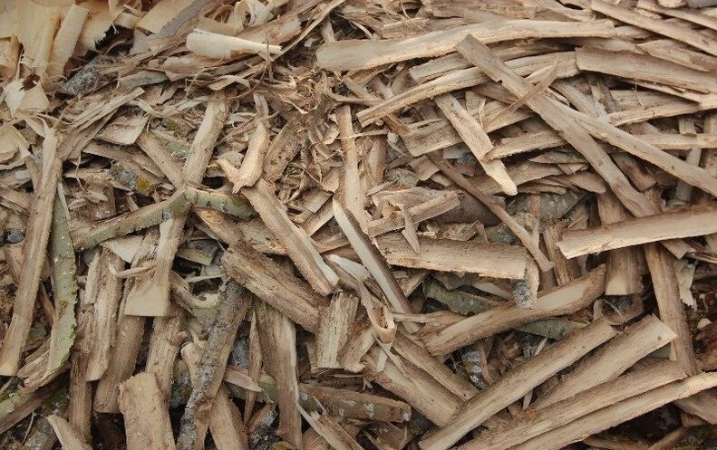 lubje trepetlike za prostatitis