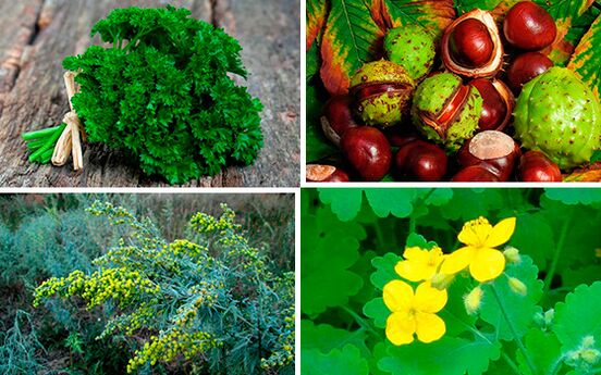 zelišča za zdravljenje prostatitisa